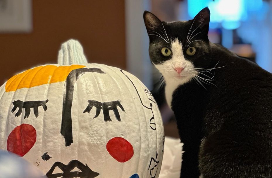 Rutherford Arts Council People in the Park 2022