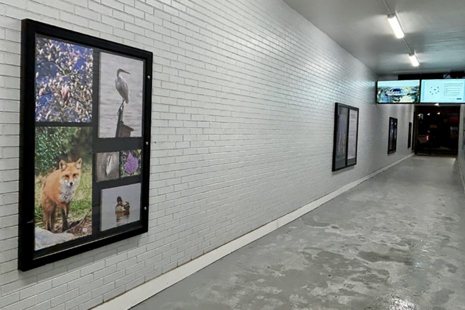 Dan Meredith, Big Hearted Canvas Project at Clara's Tunnel