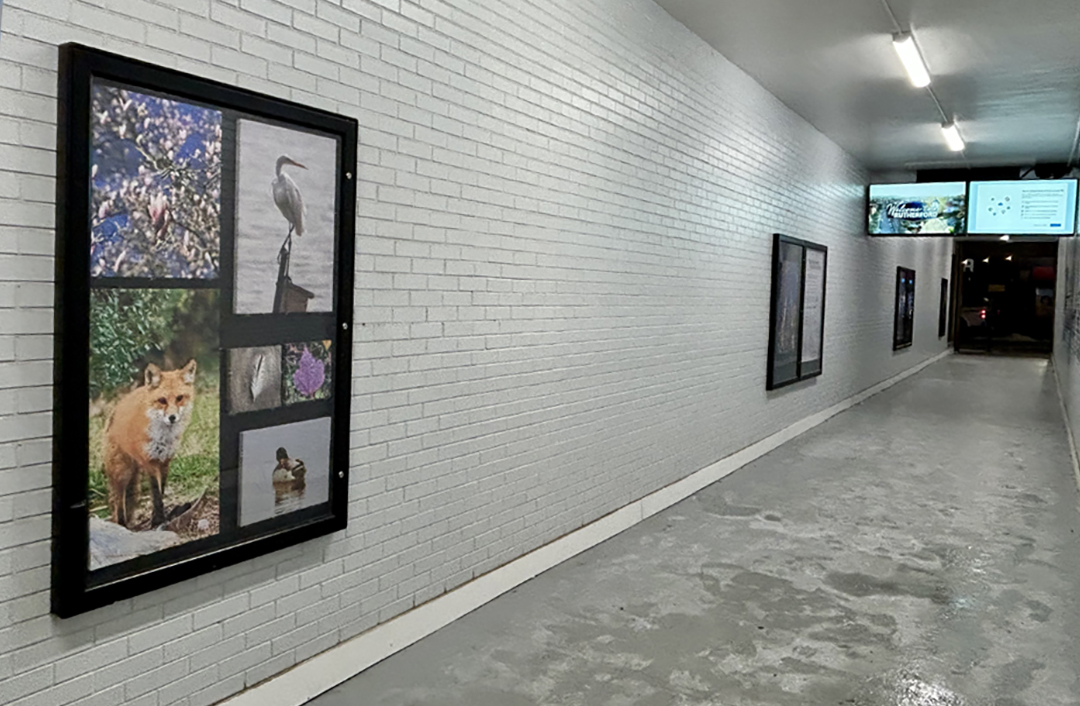 Dan Meredith, Big Hearted Canvas Project at Clara's Tunnel