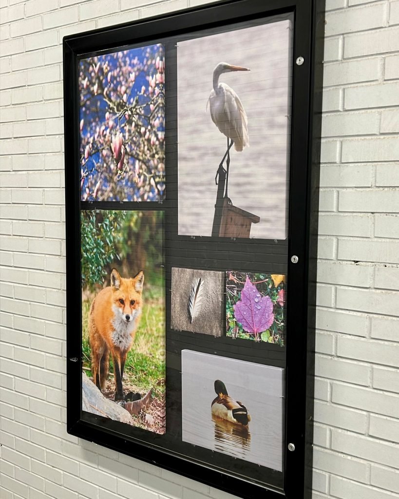 Dan Meredith, Big Hearted Canvas Project at Clara's Tunnel